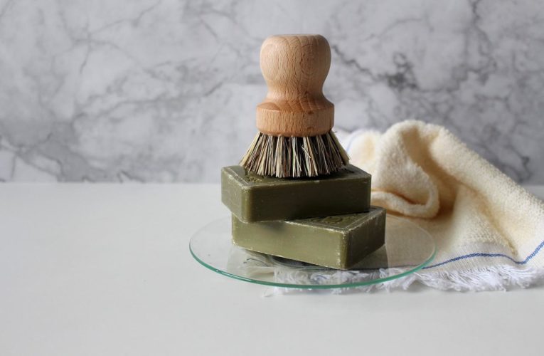 soap, bristle, natural brush-4017606.jpg